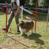 foire-haricots 2011-09-17et18